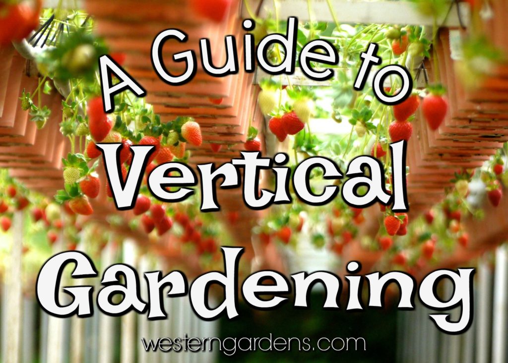 A Guide and Tips to Vertical Gardening in Utah