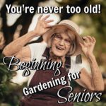 Senior gardening woman Edu Carvalho from Pexels