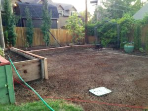 Planting a new lawn from seed