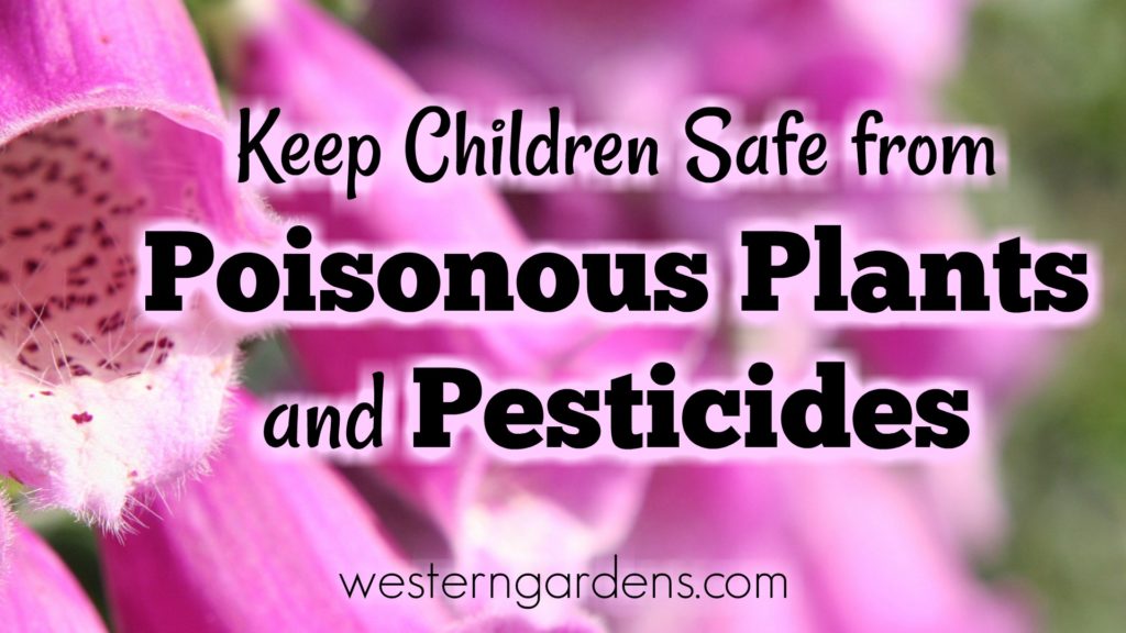 Keep Kids safe from Poisonous plants and pesticides