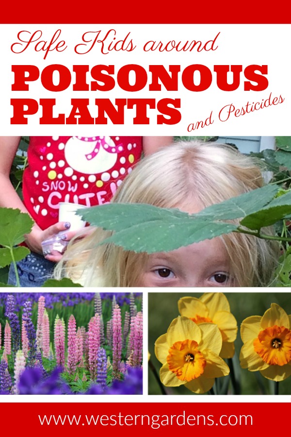 Learn how to keep kids safe around poisonous plants and pesticides