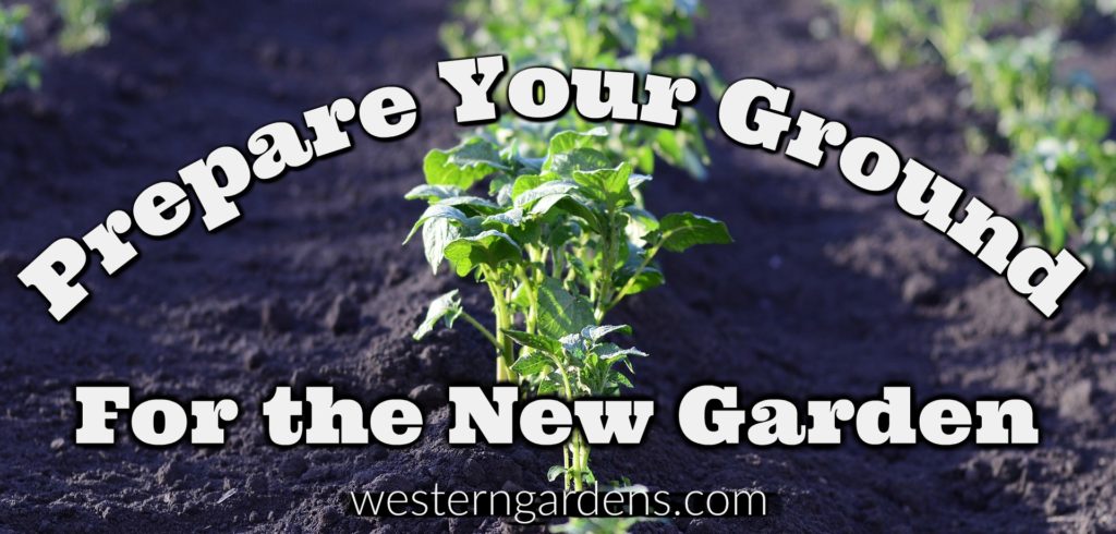 Prepare your soil for your vegetable garden
