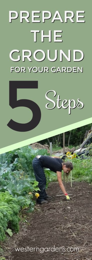 5 steps to prepare the ground and soil for your garden