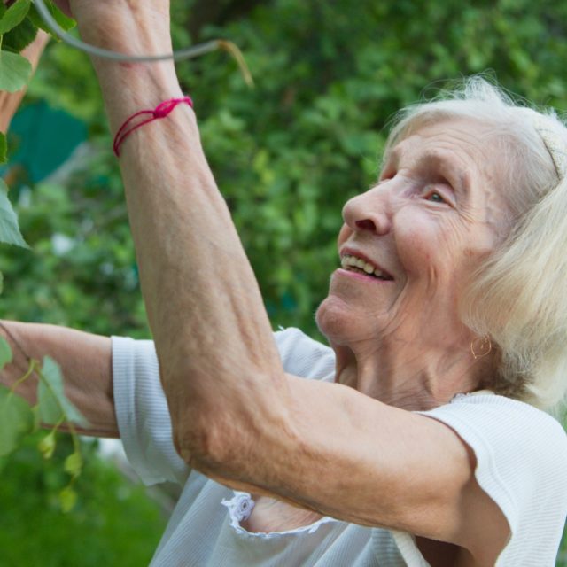Old woman gardening Piqsels