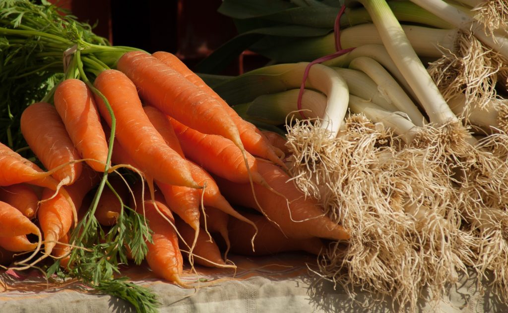 Carrots and onions for your utah vegetable garden