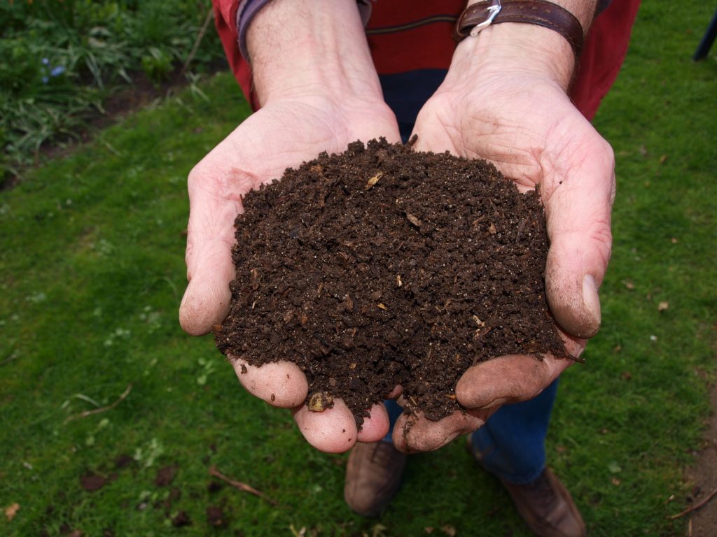 a good loam soil is what we want to plant in